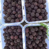 ��Ϫ��÷���Կ�ʼ�µ���