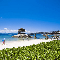 ��ţ�Ƽ�����---�����������·��