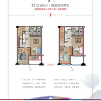 ���ײ��˫Կ�׹�Ԣ