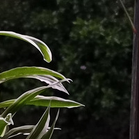 �����գ�����������