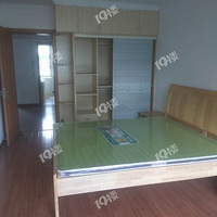 �ϳ����������