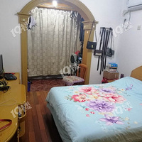 �ϳ����������