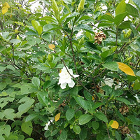 ��ô��һ��ȥ����