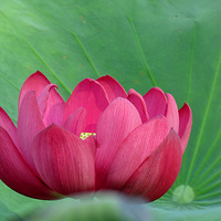 �����ʮ����㡱���ͺɻ�