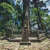 ���оۻ��ȥ��