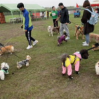 ͩ�޵����칷