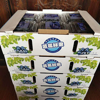 ������ݮ�����������ģ�����Ԥ������