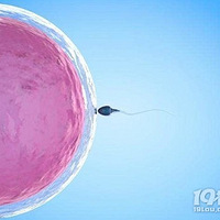 ����ǰ3���£�̥������æ����ʲô�أ�