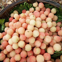 ����÷������÷