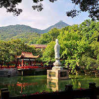 ͽ���߹���������