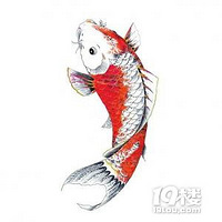 ����üë��Ũ�ܺ���ķ������������ˣ������������