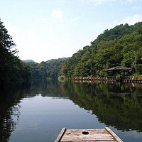 ���������Ƽ������߽�ɹ���˼ң�������Dʢ��