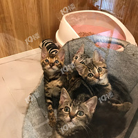 ���ֵ�һ��˯