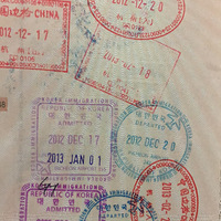 ����������ţ���������