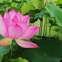 �������꼱��Բ��ʼɢ��