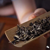 �����¹�֮��