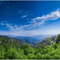 [�ɾ�Ұ��]6.30ͽ����Խ�����ɾ���̽Ѱ�㱱С��կ��
