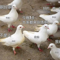 ���뽡��������battle���¡���