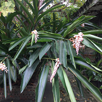 ֪�����ʲô��