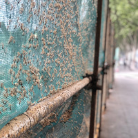 ����ô����һ��