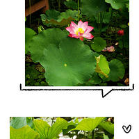 ���������ӣ�����������������Ѿ�����ÿÿ�ѻ���