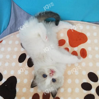 �㽭�𻪸���վ