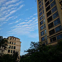 �����ǂ�����⣨�D��