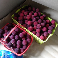 ����������ũ����԰�Ž���ժ���أ���÷Լ��