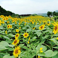 �ͻ���ˮ | ���������������ͺɣ�����ˮ���ս