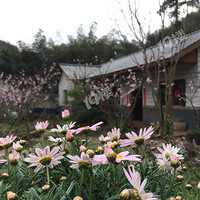 ������������ʲô���ģ�