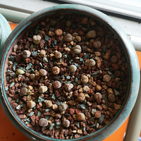 �����ʯ��