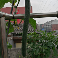 С��̨������