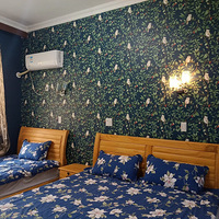 �ຼ��Ư����Ӿ�õط��Ƽ�����|�������