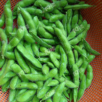 ë�����У��ſű�����˶�����ۣ�