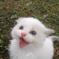 ��ĩ��С�ֵ��Ǵ�����