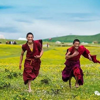 7��14�ţ��г�8�죬�������ϼ�Ʒ��ɫ���㣬ɫ����Ƕ�����