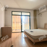 �����´�