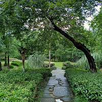 ����Ļ���