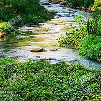 �����Ƽ�԰��4.79���¥�̣����35-48������װ��˫Կ��