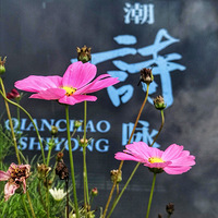 ����Ǯ��У��