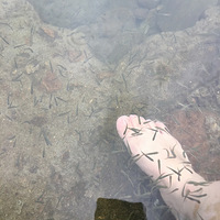 �������ˣ�������ˣ��Ͻ���ɽ�������Ӿ��