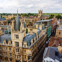 Ӣ���ľ�Ӣ�׼�,39%��Ӣ����Ӣ��˽����������