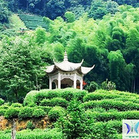 ������Ž� �� ����CS �� �տ�