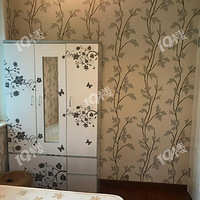 �����´� �ֻ��´� ����һ��һ�����������ˣ�