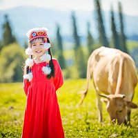 ���������ӡ����ϲ�ԭ ���� ��ɳ ԽҰ ���� ��ȫ�� ������