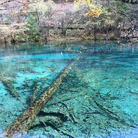 ����Щ����ȥ���ط�������