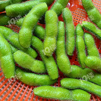 ¶�����ӻƶ����ڸ�ʮ��