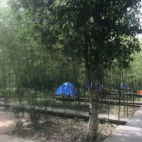 ���ŵ���ȥɽ����