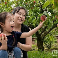 �ش�ϲѶ��ֻҪ0Ԫ�����Ϳ���ȥ��������Դ����ժˮ��������