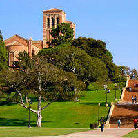 �Ա�500ƪ˹̹���͹���¼ȡ�����, ������������صĹ��ɡ�